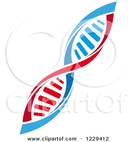 Clipart of a Dna Double Helix Cloning Strand 7 - Royalty Free Vector Illustration by Vector Tradition SM