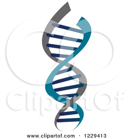 Clipart of a Dna Double Helix Cloning Strand 8 - Royalty Free Vector Illustration by Vector Tradition SM