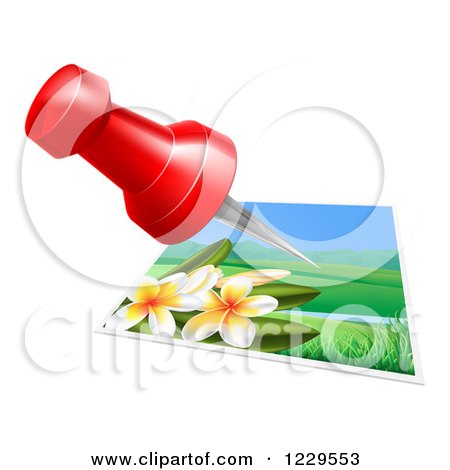 Clipart of a Red Pin over a Plumera Photo - Royalty Free Vector Illustration by AtStockIllustration