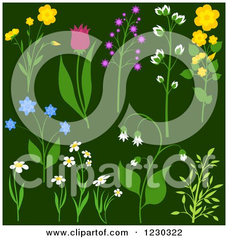 Clipart of Flowering Plants on Green - Royalty Free Vector Illustration by dero