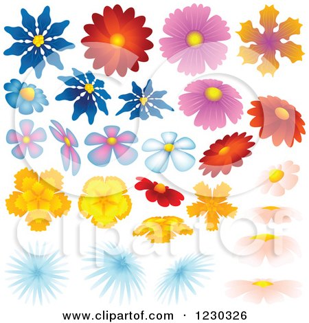 Clipart of Colorful Flower Heads - Royalty Free Vector Illustration by dero