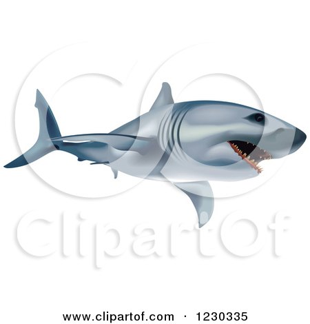 Clipart of a Great White Shark - Royalty Free Vector Illustration by dero
