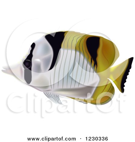 Clipart of a Black-wedged Butterflyfish - Royalty Free Vector Illustration by dero