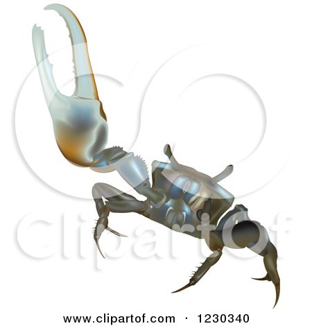 Clipart of a Fiddler Crab - Royalty Free Vector Illustration by dero
