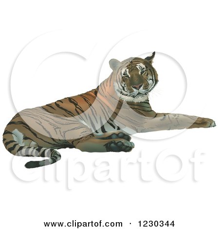 Clipart of a Resting Tiger - Royalty Free Vector Illustration by dero
