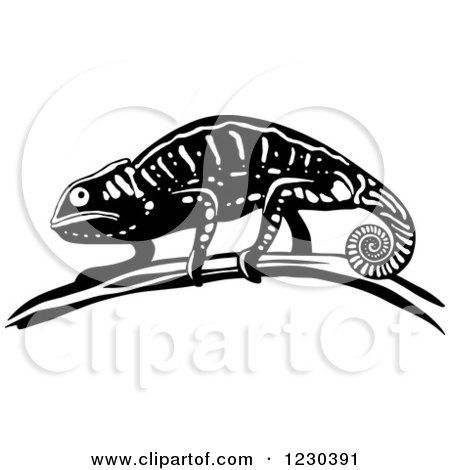 Clipart of a Black and White Chameleon Lizard 3 - Royalty Free Vector Illustration by Vector Tradition SM