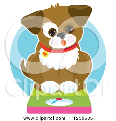 Clipart of a Surprised Chubby Dog Sitting on a Scale - Royalty Free Vector Illustration by Maria Bell