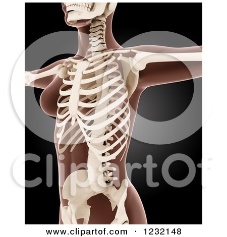 Clipart of a 3d Cropped Medical Female Xray with Visible Skeleton on Black - Royalty Free Illustration by KJ Pargeter