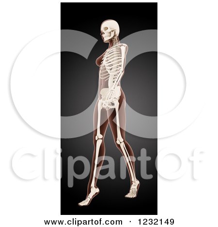 Clipart of a 3d Medical Female Xray Walking, with Visible Skeleton on Black - Royalty Free Illustration by KJ Pargeter