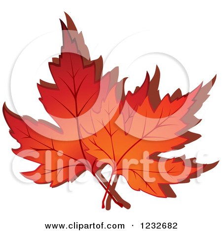 Clipart of Orange Autumn Maple Leaves and Shadow - Royalty Free Vector Illustration by Vector Tradition SM