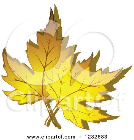 Clipart of Yellow Autumn Maple Leaves and Shadow - Royalty Free Vector Illustration by Vector Tradition SM