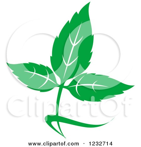 Clipart of a Green Leaf and Reflection Logo 28 - Royalty Free Vector Illustration by Vector Tradition SM