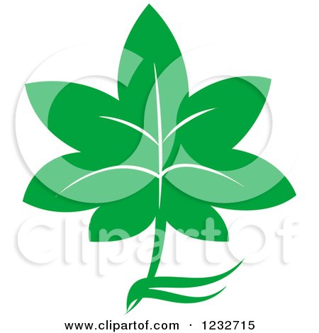 Clipart of a Green Leaf and Reflection Logo 29 - Royalty Free Vector Illustration by Vector Tradition SM