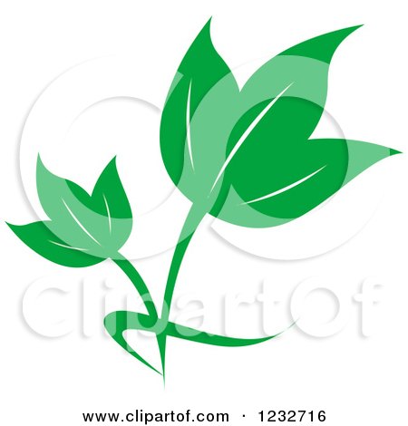 Clipart of a Green Leaf and Reflection Logo 30 - Royalty Free Vector Illustration by Vector Tradition SM