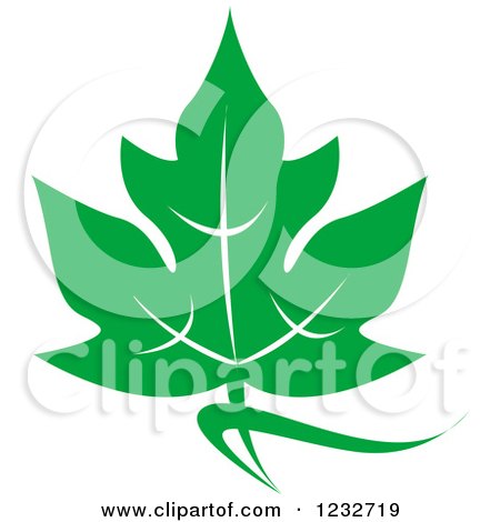 Clipart of a Green Leaf and Reflection Logo 33 - Royalty Free Vector Illustration by Vector Tradition SM