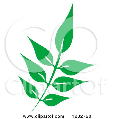 Clipart of a Green Leaf and Reflection Logo 34 - Royalty Free Vector Illustration by Vector Tradition SM