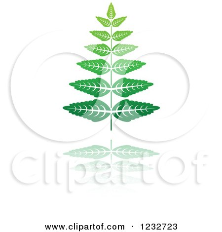 Clipart of a Green Fern Plant and Reflection Logo - Royalty Free Vector Illustration by Vector Tradition SM