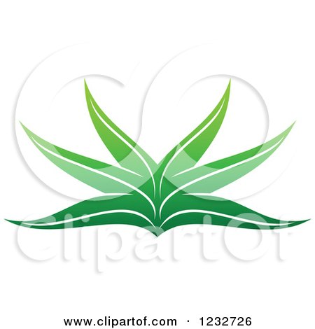 Clipart of a Green Aloe Plant Logo - Royalty Free Vector Illustration by Vector Tradition SM