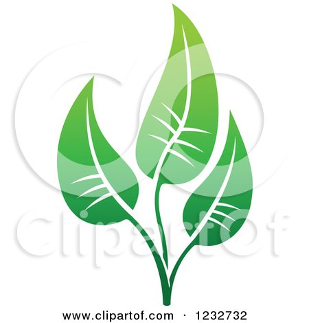Clipart of a Green Leaf and Reflection Logo 24 - Royalty Free Vector Illustration by Vector Tradition SM