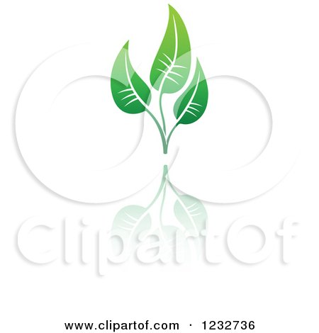 Clipart of a Green Leaf and Reflection Logo 6 - Royalty Free Vector Illustration by Vector Tradition SM