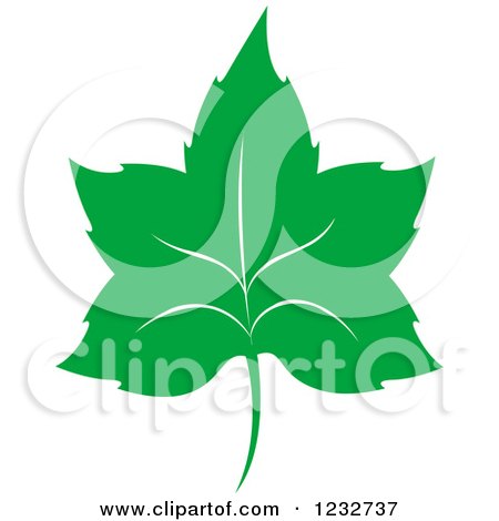 Clipart of a Green Leaf and Reflection Logo 36 - Royalty Free Vector Illustration by Vector Tradition SM