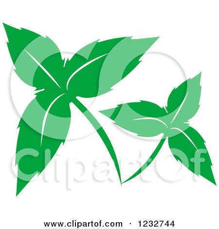 Clipart of a Green Leaf and Reflection Logo 40 - Royalty Free Vector Illustration by Vector Tradition SM