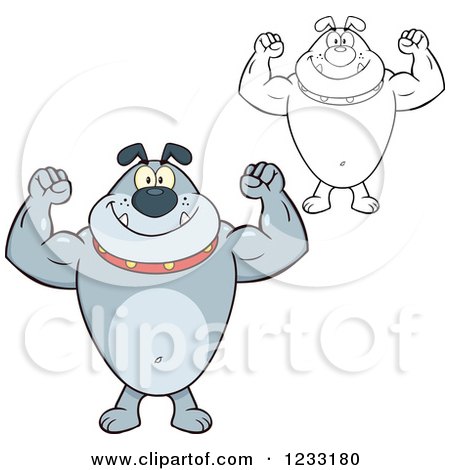 Clipart of a Strong Gray and Outlined Bulldog Flexing His Arms - Royalty Free Vector Illustration by Hit Toon