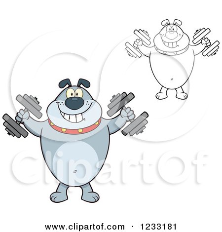 Clipart of a Gray and Outlined Bulldog Working out with Dumbbells - Royalty Free Vector Illustration by Hit Toon