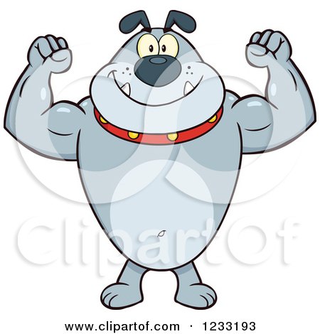 Clipart of a Strong Gray Bulldog Flexing His Arms - Royalty Free Vector Illustration by Hit Toon