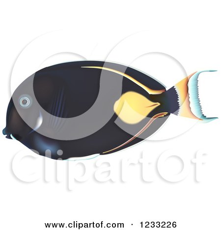 Clipart of a Achilles Tang Fish - Royalty Free Vector Illustration by dero