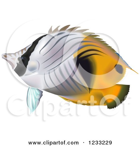 Clipart of a Threadfin Butterflyfish - Royalty Free Vector Illustration by dero