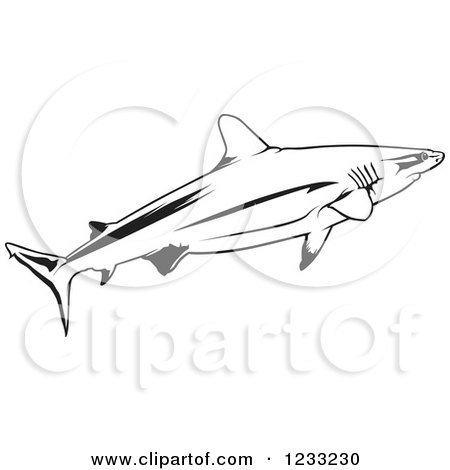 Clipart of a Black and White Grey Reef Shark - Royalty Free Vector Illustration by dero