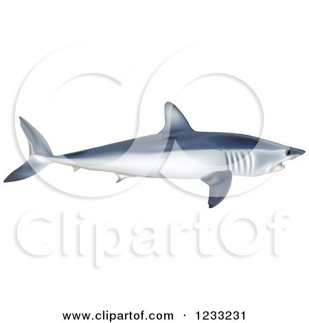 Clipart of a Shortfin Mako Shark - Royalty Free Vector Illustration by dero