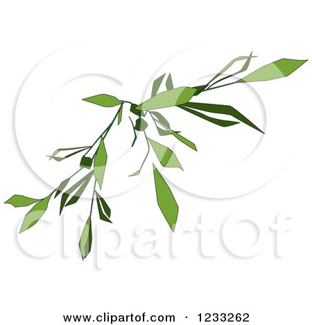 Clipart of a Green Creeper Vine - Royalty Free Vector Illustration by dero