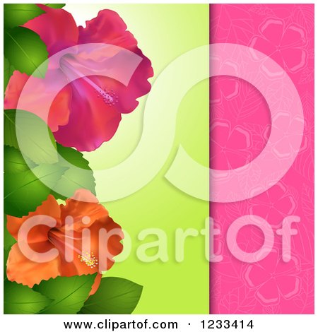 Clipart of a Hibiscus Flower Panel over Pink - Royalty Free Vector Illustration by elaineitalia