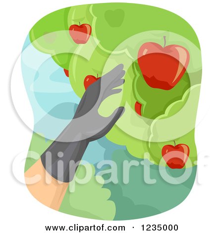 Clipart of a Gloved Hand Picking Apples from a Tree - Royalty Free Vector Illustration by BNP Design Studio
