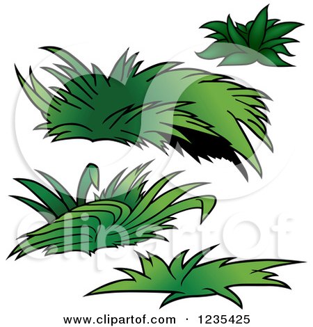 Clipart of Green Plants 2 - Royalty Free Vector Illustration by dero