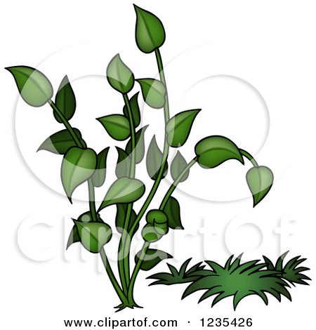 Clipart of a Green Plant 3 - Royalty Free Vector Illustration by dero