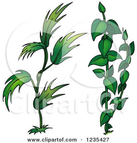 Clipart of Green Plants - Royalty Free Vector Illustration by dero
