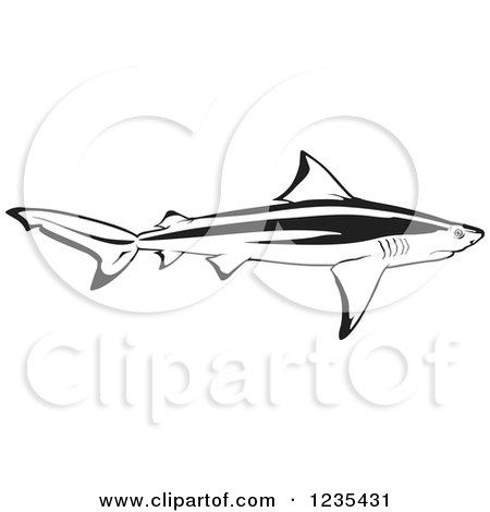Clipart of a Black and White Bull Shark - Royalty Free Vector Illustration by dero