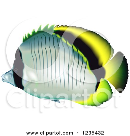 Clipart of a Lined Butterflyfish - Royalty Free Vector Illustration by dero