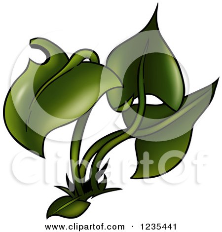 Clipart of a Green Plant 2 - Royalty Free Vector Illustration by dero
