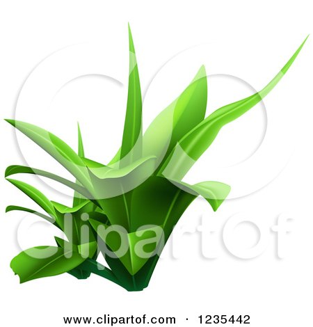 Clipart of a Green Plant 4 - Royalty Free Vector Illustration by dero