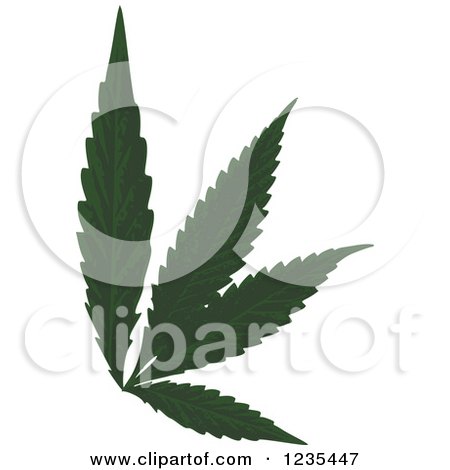 Clipart of a Marijuana Leaf - Royalty Free Vector Illustration by dero