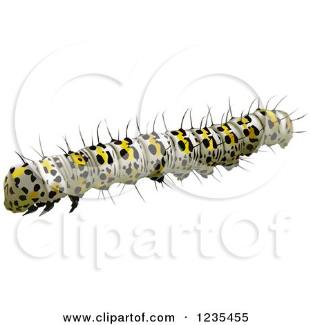 Clipart of a Mullein Moth Caterpillar - Royalty Free Vector Illustration by dero