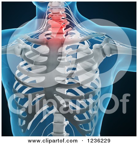 Clipart of a 3d Human Skeleton and Central Nervous System, on Black - Royalty Free CGI Illustration by Mopic