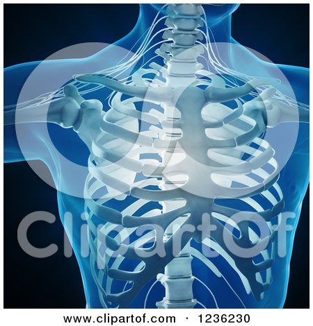 Clipart of a 3d Human Skeleton and Central Nervous System, over Black - Royalty Free CGI Illustration by Mopic
