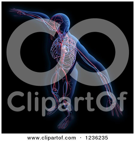Clipart of a 3d Human Body and Circulatory System on Black - Royalty Free CGI Illustration by Mopic