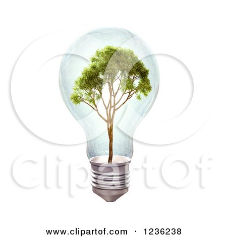 Clipart of a 3d Tree in a Light Bulb over White - Royalty Free CGI Illustration by Mopic