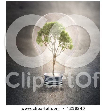 Clipart of a 3d Tree in a Light Bulb - Royalty Free CGI Illustration by Mopic
